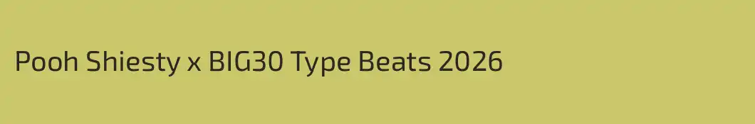 Pooh Shiesty x BIG30 Type Beats 2026